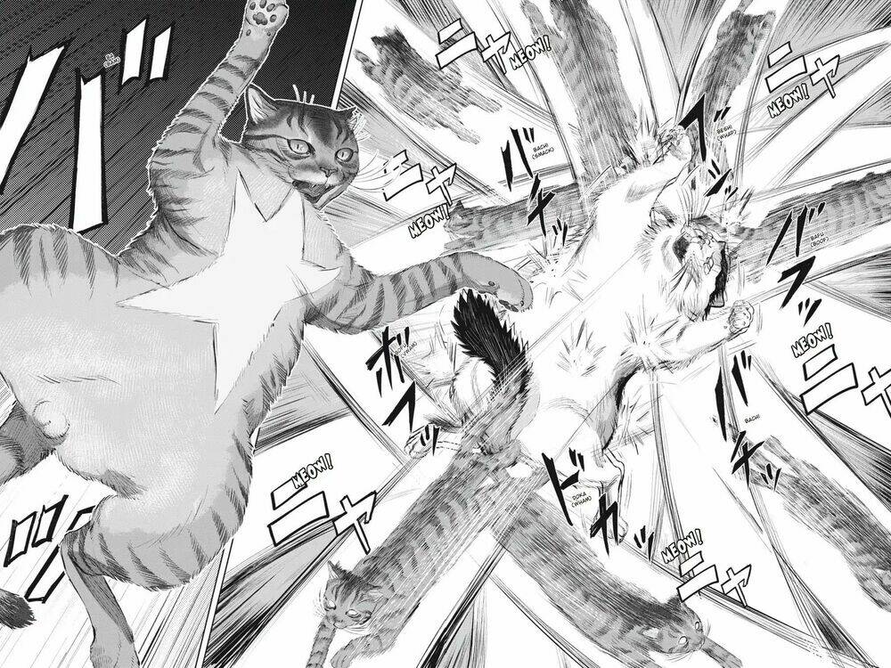 nyankees chapter 8 29