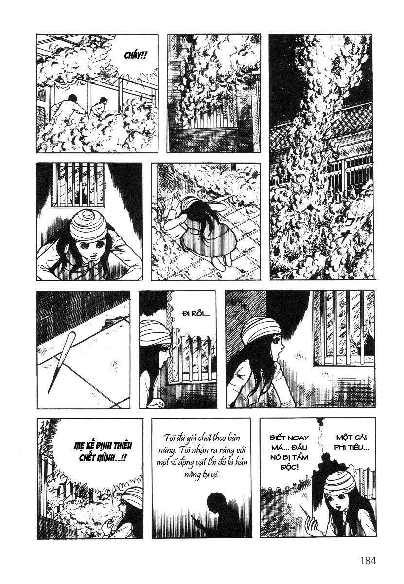 scary book chapter 3.4 7