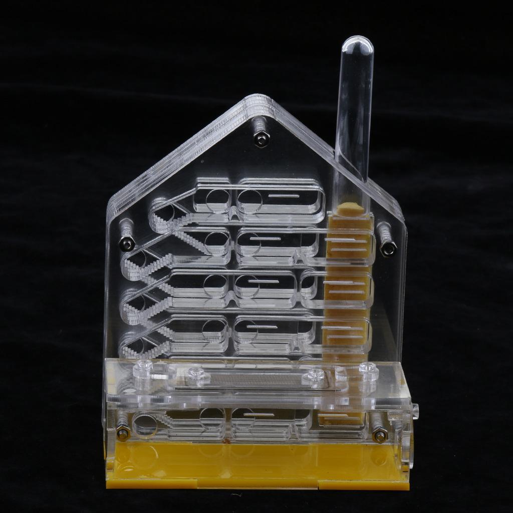 Clear Insect Ant Housing Acrylic Nest Ants Feed Farm Formicarium Box