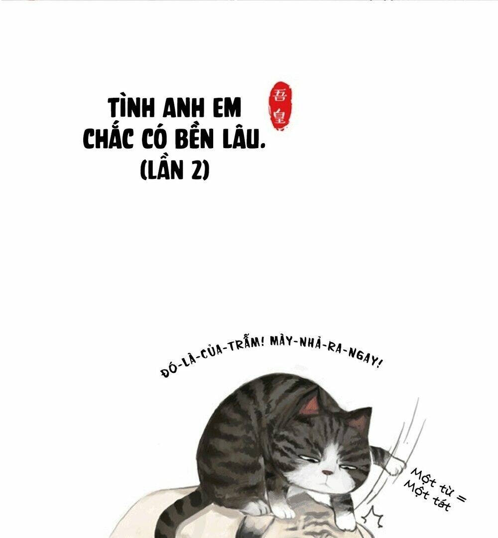 biết là ghét đấy, nhưng không thể buông bỏ chapter 3 7