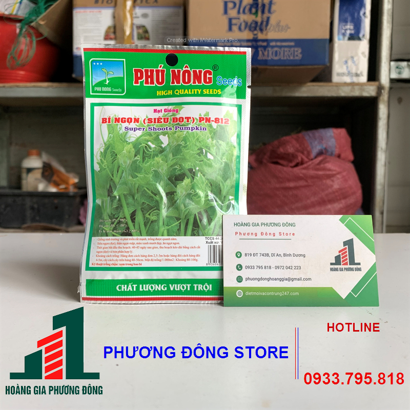 Combo 5-10 gói hạt giống Bí đỏ siêu ngọn, năng suất cao