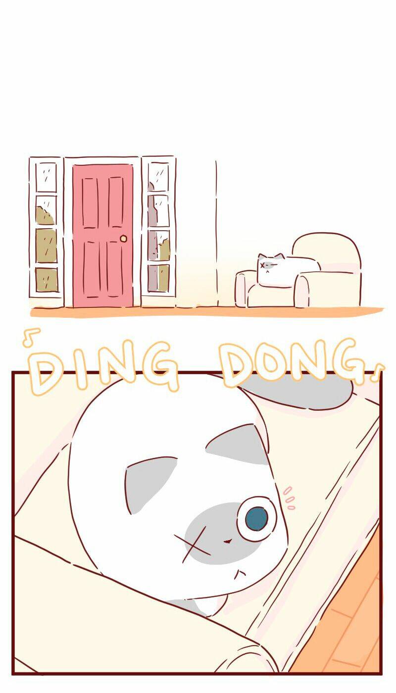 saphie: chú mèo một mắt chapter 27 10