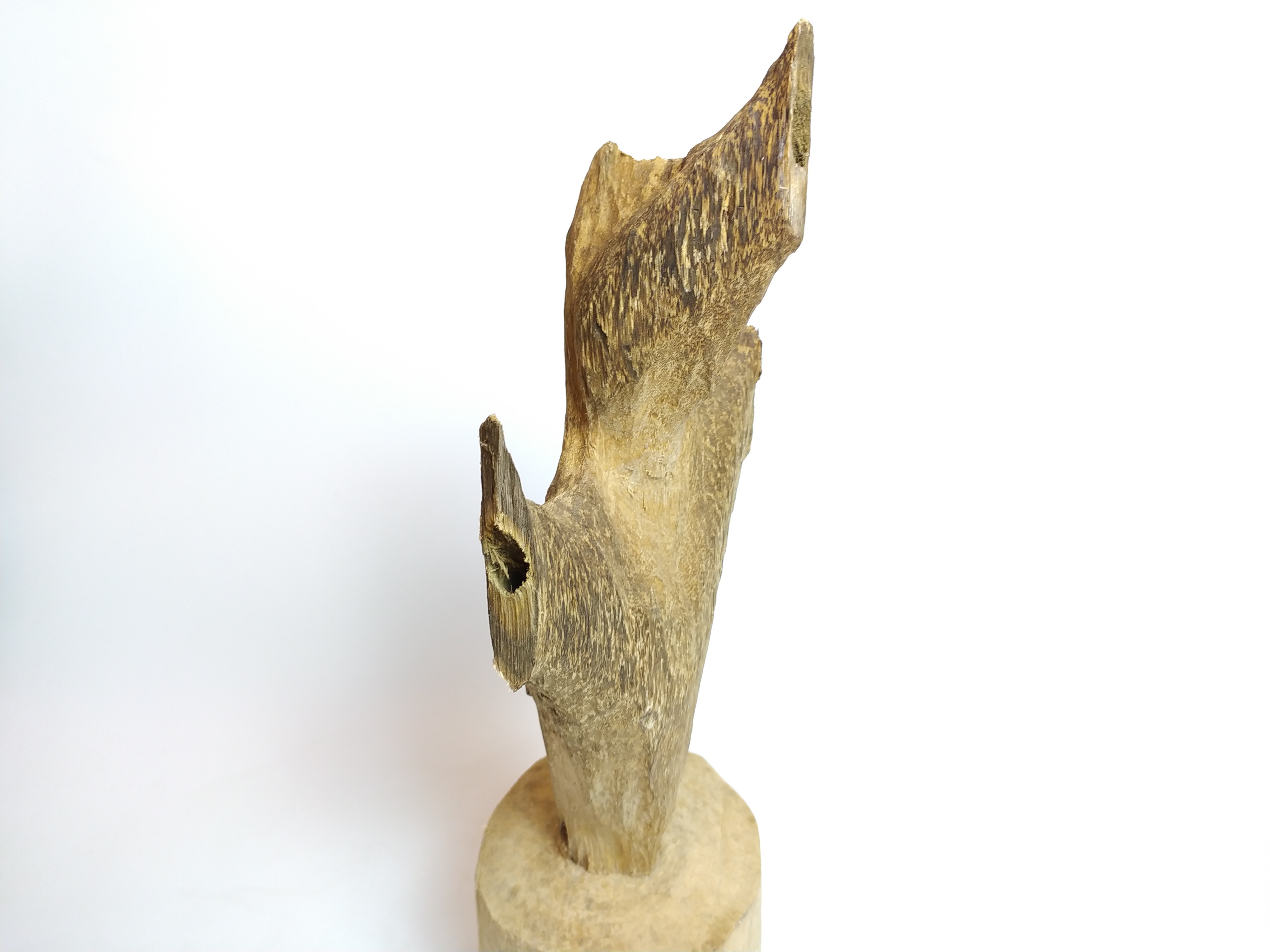 Gốc trầm