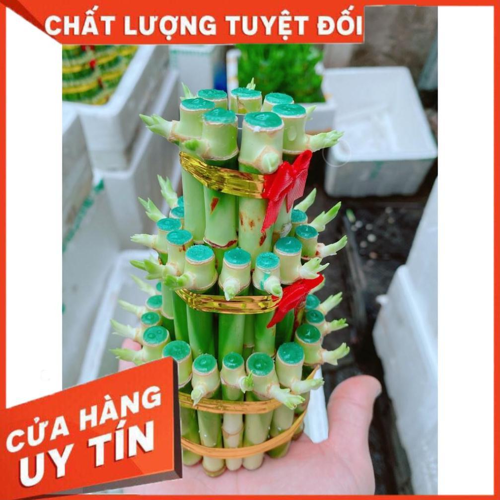 Chúc Phát Tài Hay Chúc Phát Lộc 3 Tầng Có Tặng Kèm Dĩa Lót