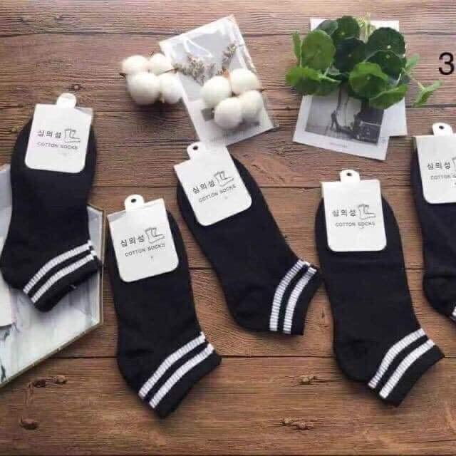 Tất cổ ngắn nữ cotton kiểu Hàn Quốc co giãn kháng khuẩn -TN14