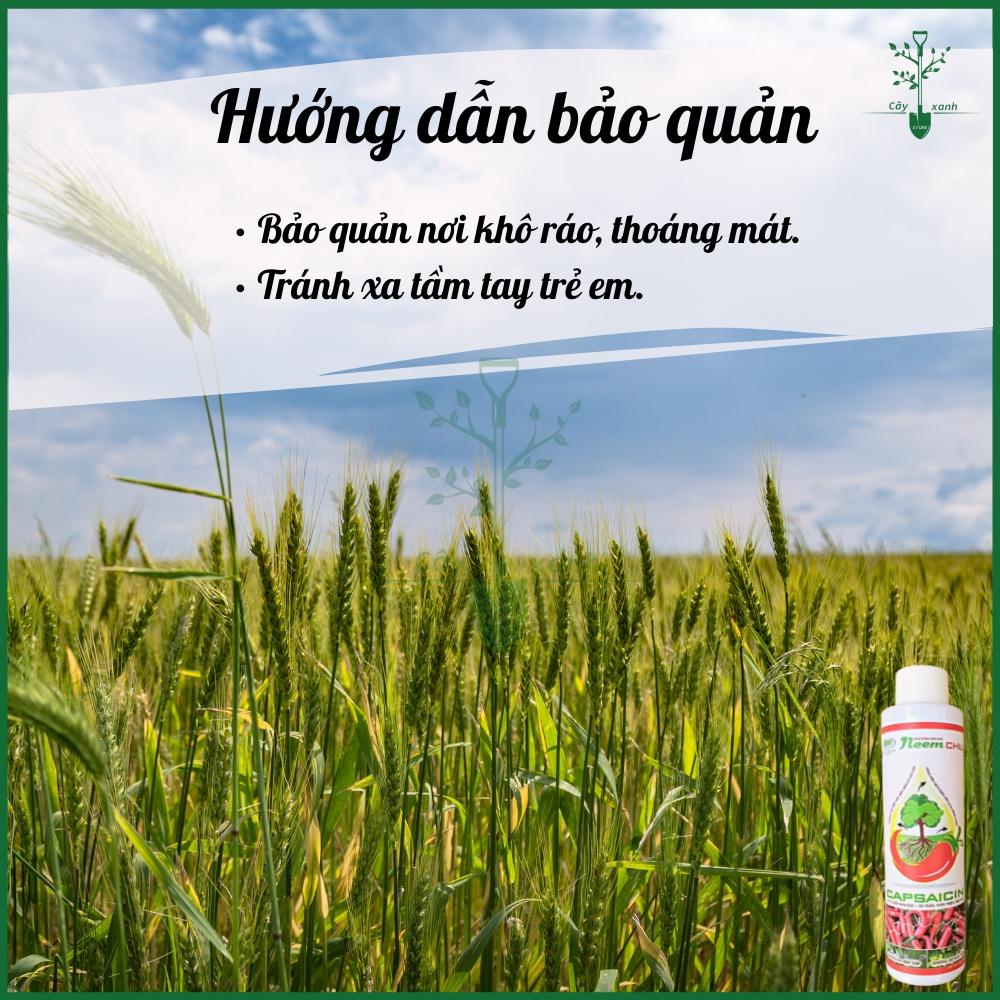 Neem Chili Chất Bám Dính Sinh Học 150ml - Điền Trang Trừ Bọ Trĩ