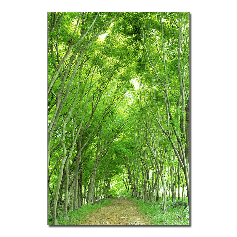 Tranh vải trang trí SH0019