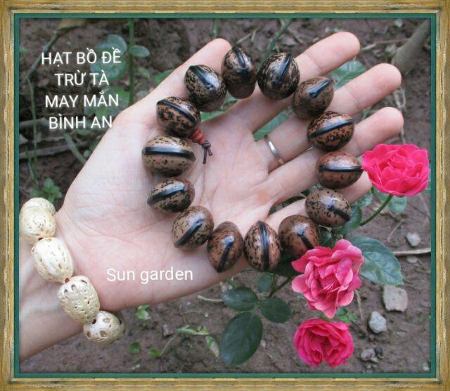 VÒNG TAY BÌNH AN HẠT BỒ ĐỀ TỰ NHIÊN