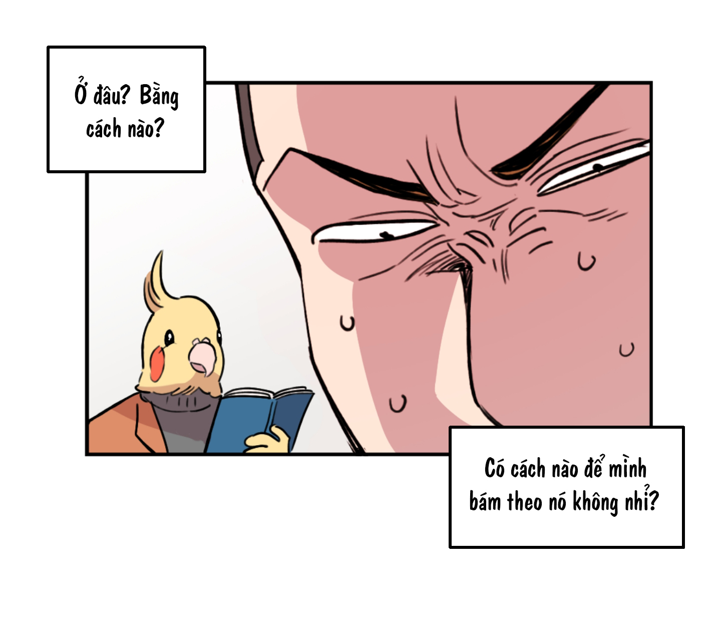 [18+] 1 người khỏe 2 người vui chapter 6.1 14