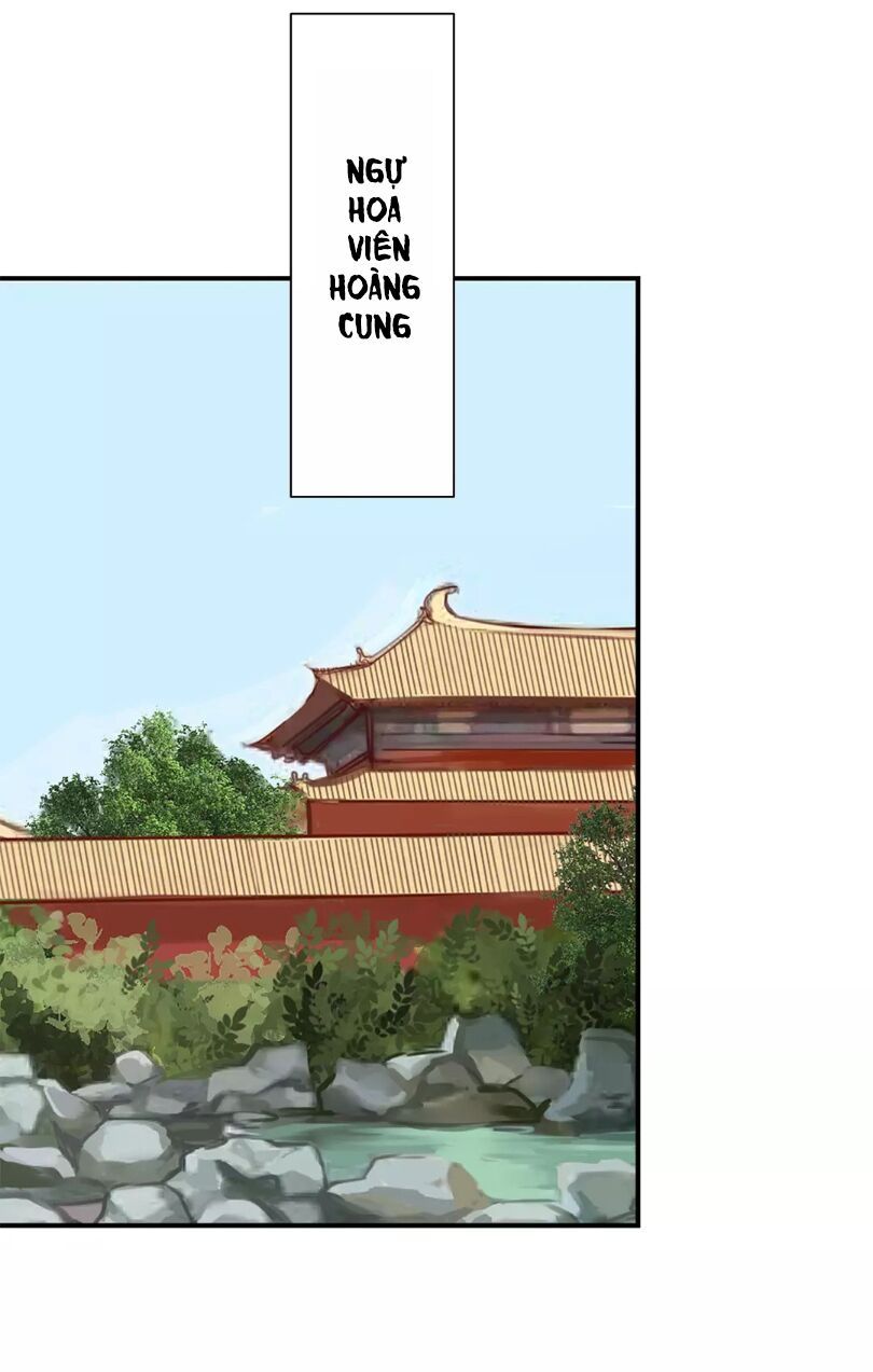 chỉ phu vi thê chapter 28 16