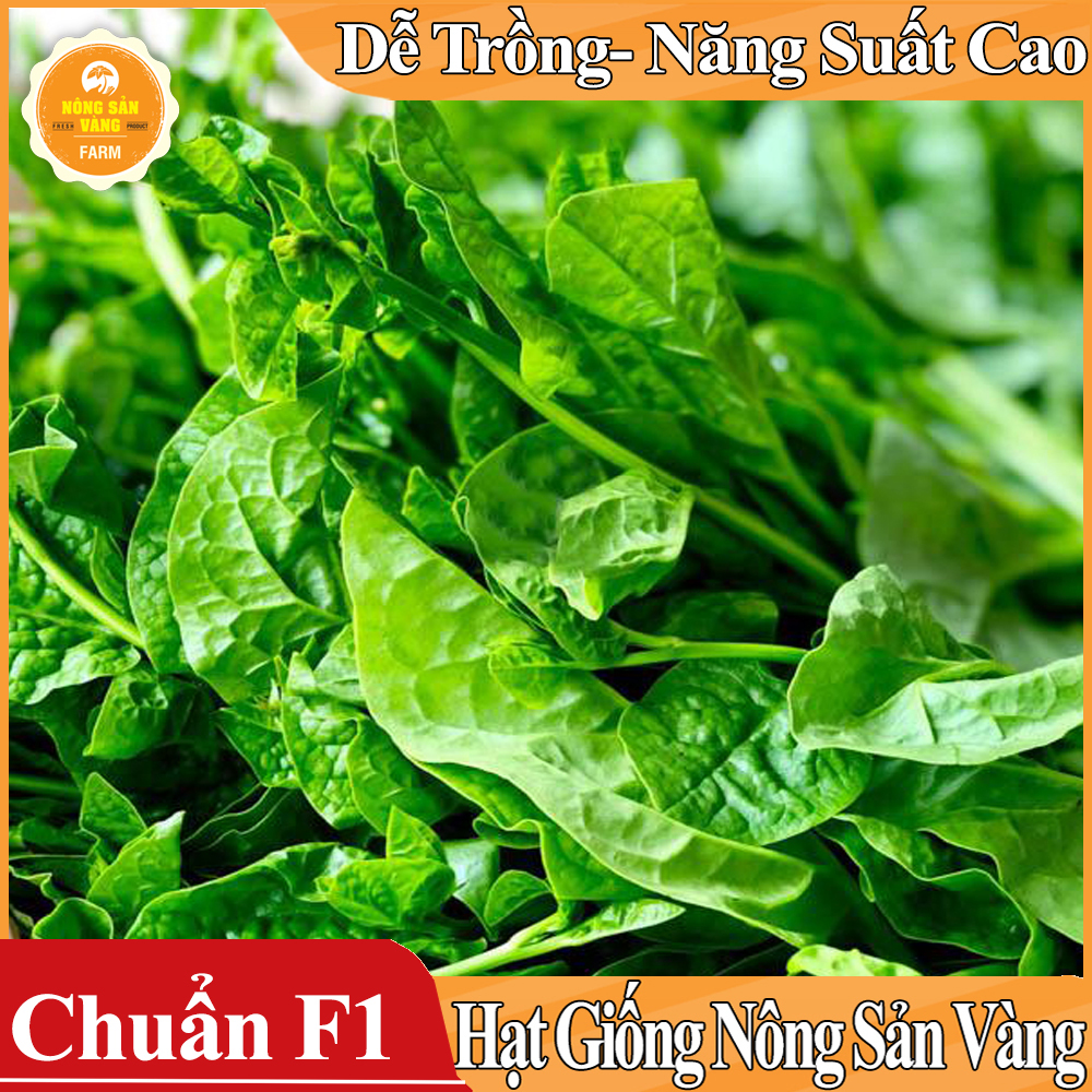 Hạt giống Mồng Tơi Xanh - Nông Sản Vàng