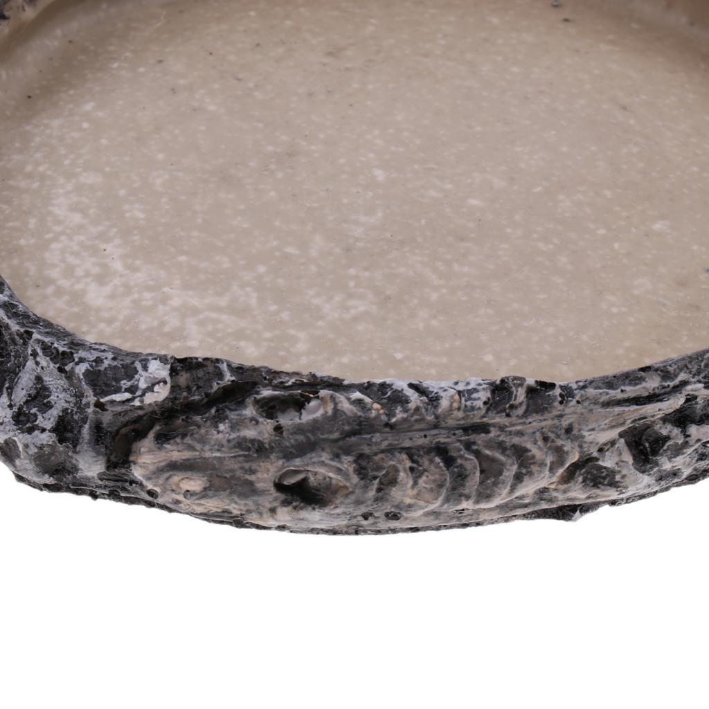 Reptile Vivarium Terrarium Feeding Bowl Tortoise lizard Gecko Tarantula Water Food Worm Feeder Basin Shaped