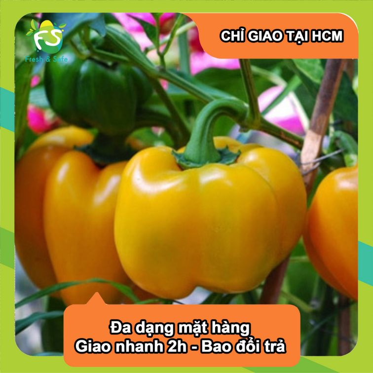 Ớt chuông vàng - 150-200gr