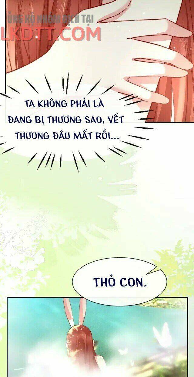 hắc hóa nam chính trực tuyến nuôi thỏ chapter 25 7