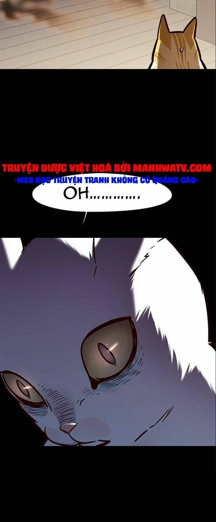 biến thân thành mèo chapter 142 9