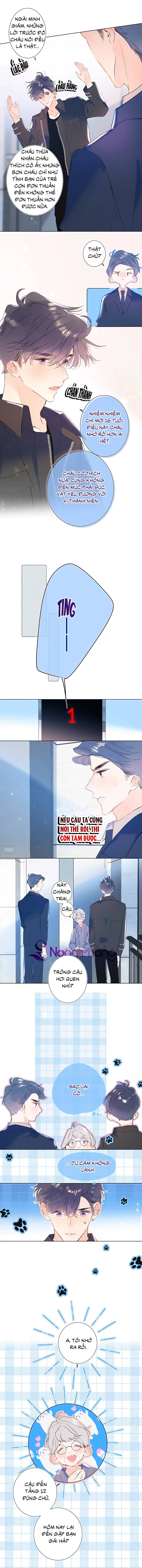 đừng khóc chapter 80 8