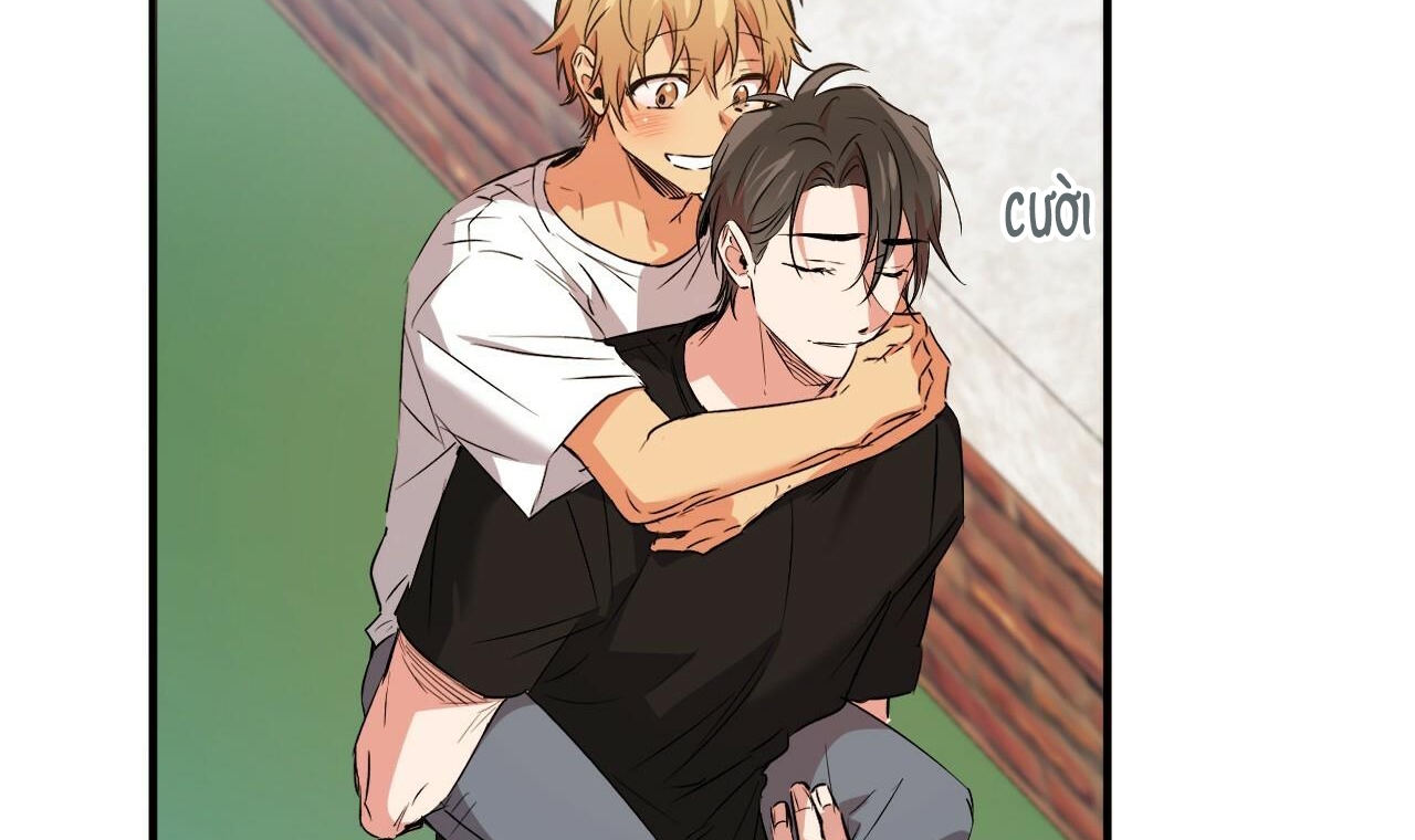 những chú thỏ của hapypy chapter 53 131