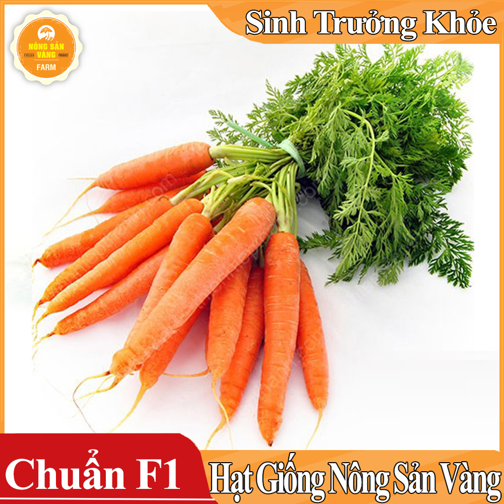 Hạt giống Cà Rốt Thường F1