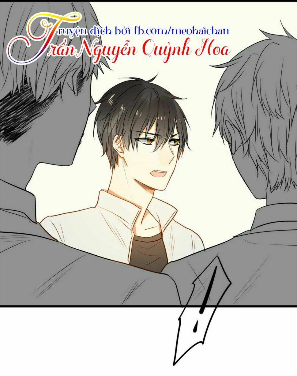 điều giáo quan hệ chapter 10 26