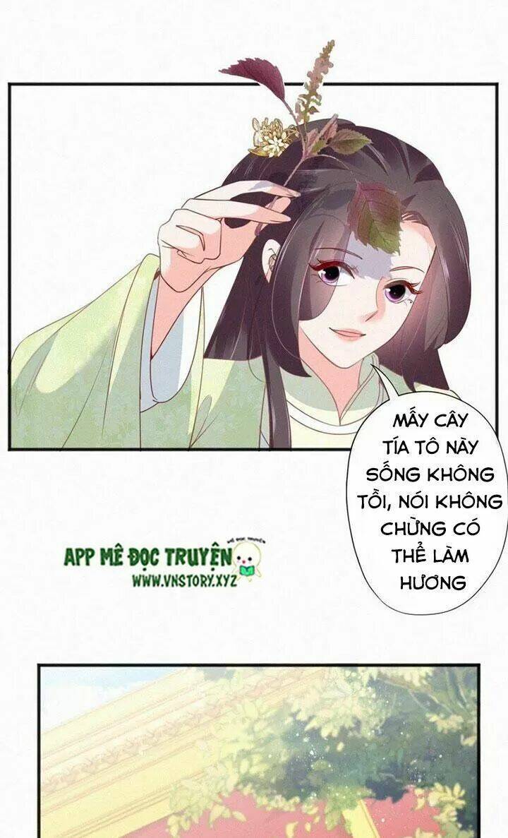 thiên hương mỹ nhân chapter 47 17