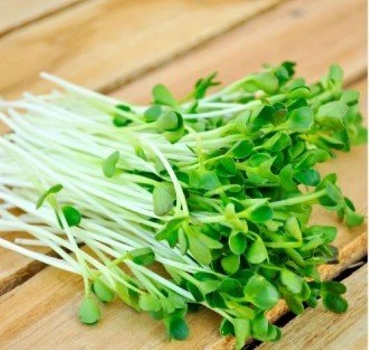 [CHỈ GIAO HCM] Cải Mầm - 100g