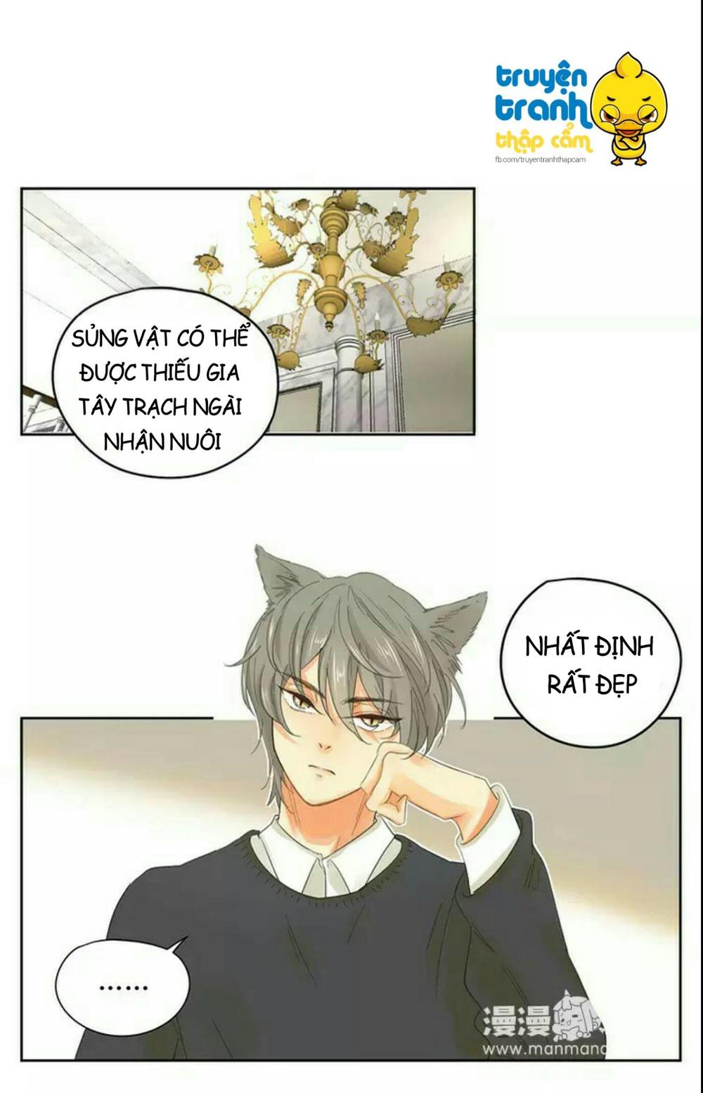 cứu mạng ! loài mèo thống trị thế giới rồi ! chapter 39 15