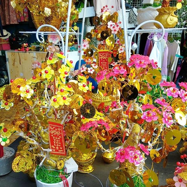 Gốc túi tiền 7 nhánh nguyên liệu cây mai tài lộc cành vàng là ngộchk shop