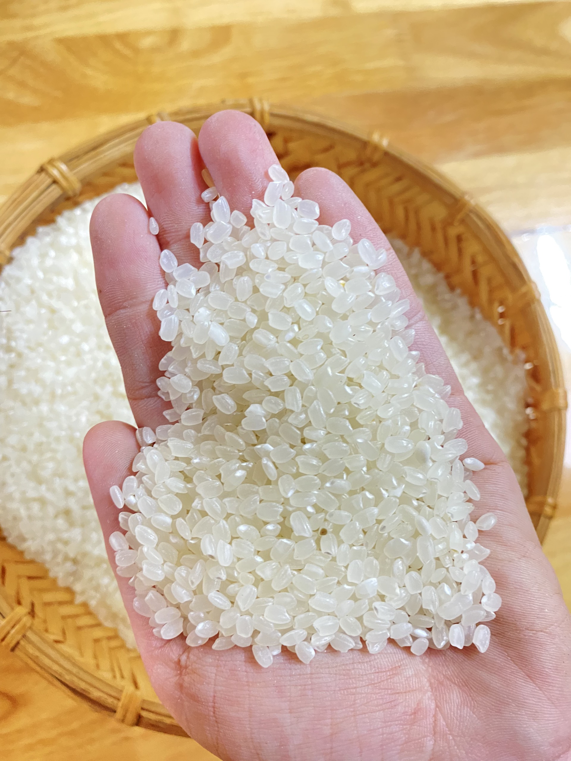 Gạo Ông Thọ- Japonica túi 1kg