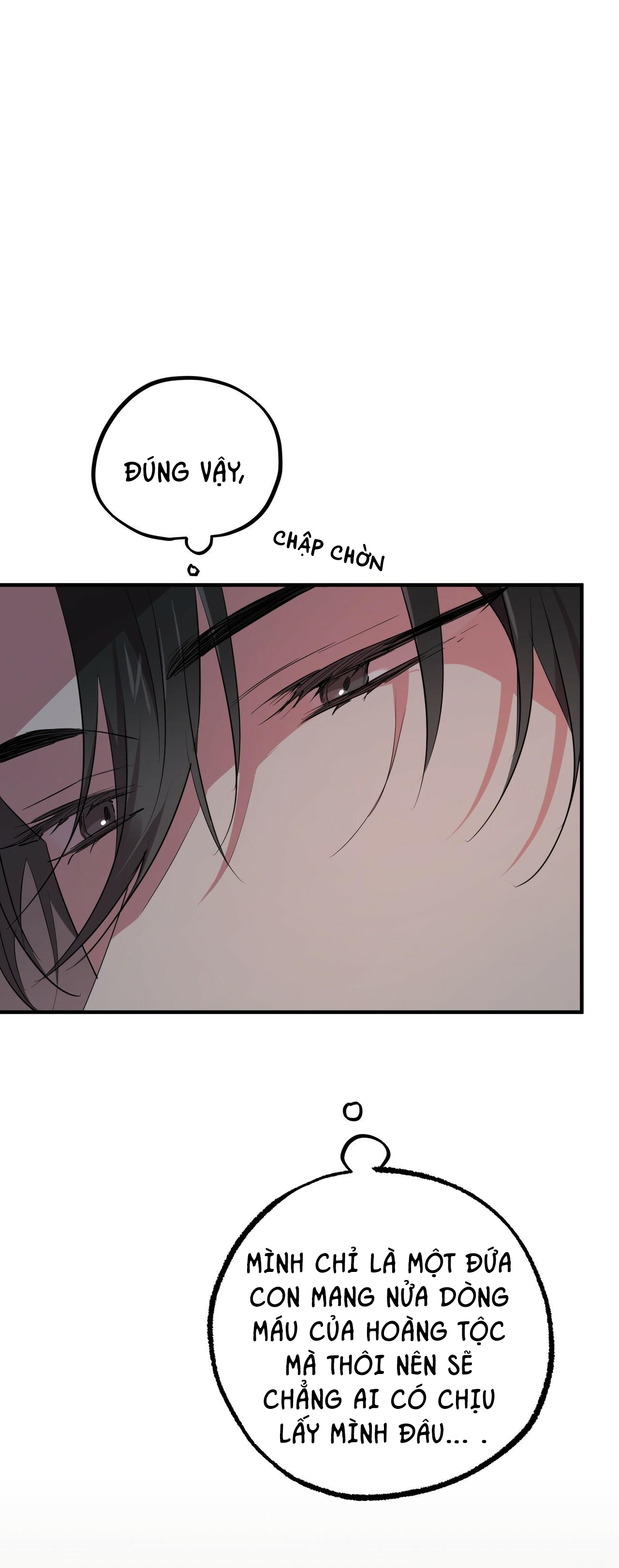 những chú thỏ của hapypy chapter 16 40