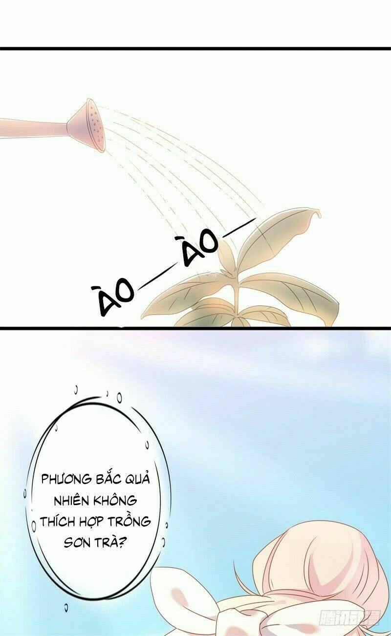ngạo kiều tổng tài sủng điềm thê chapter 42 9