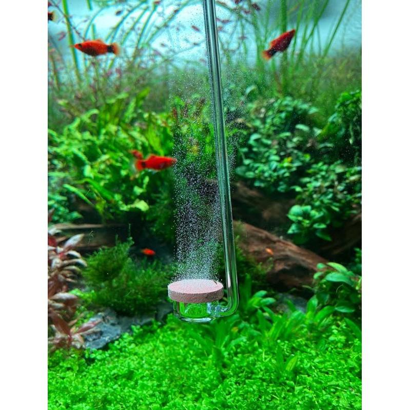 Cốc Sủi CO2 Siêu Mịn AQUARIO NEO CO2 DIFFUSER - Normal Special