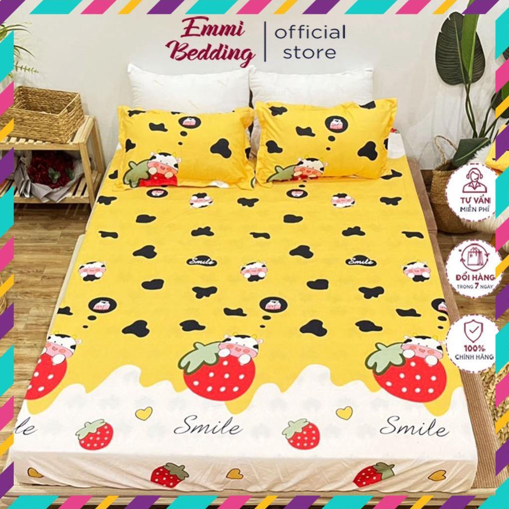 Bộ ga gối cotton poly