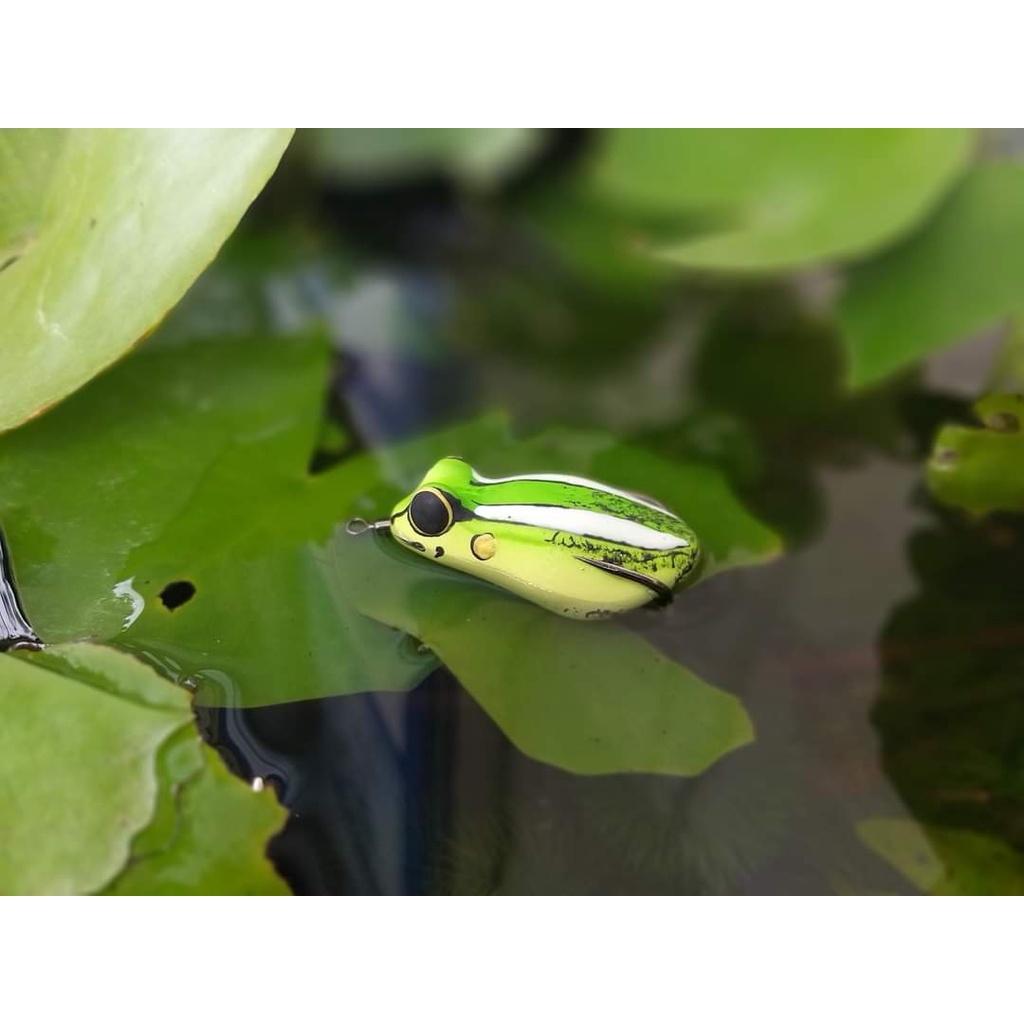 Mồi giả câu lure cá lóc, nhái hơi Hirushima Poison Frog 2022 Thái Lan 45mm- 6gr