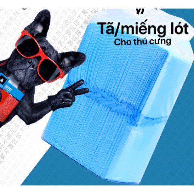 [COMBO 100 Cái] Bịch Tã Bỉm Giấy Lót Chuồng Cho Chó Mèo Siêu Thấm Hút Cho Chó Mèo Cực Kì Tiện Lợi