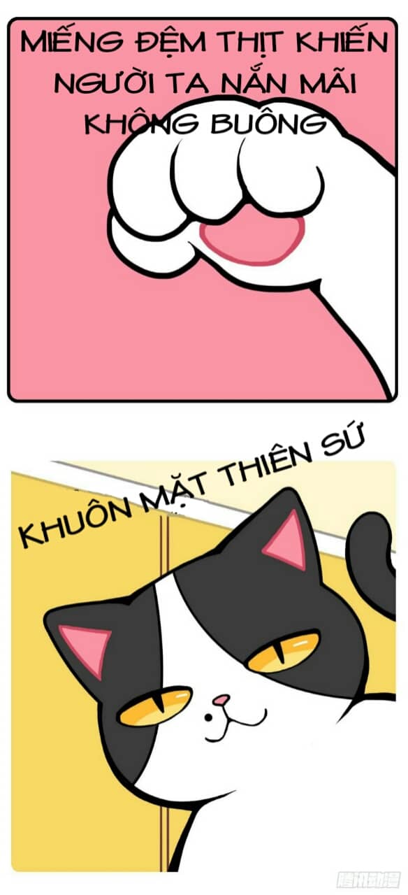 hello dư tuyết đặc chapter 1 3