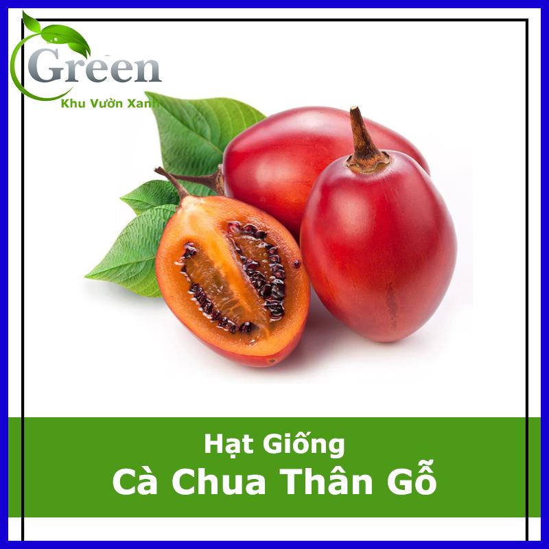 Hạt Giống Cà Chua Thân Gỗ (20 hạt)