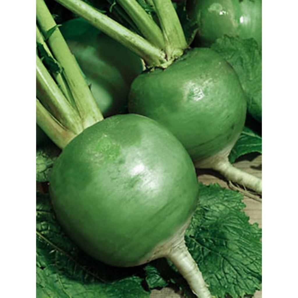 Hạt Giống Củ Cải Xanh Ruột Đỏ -