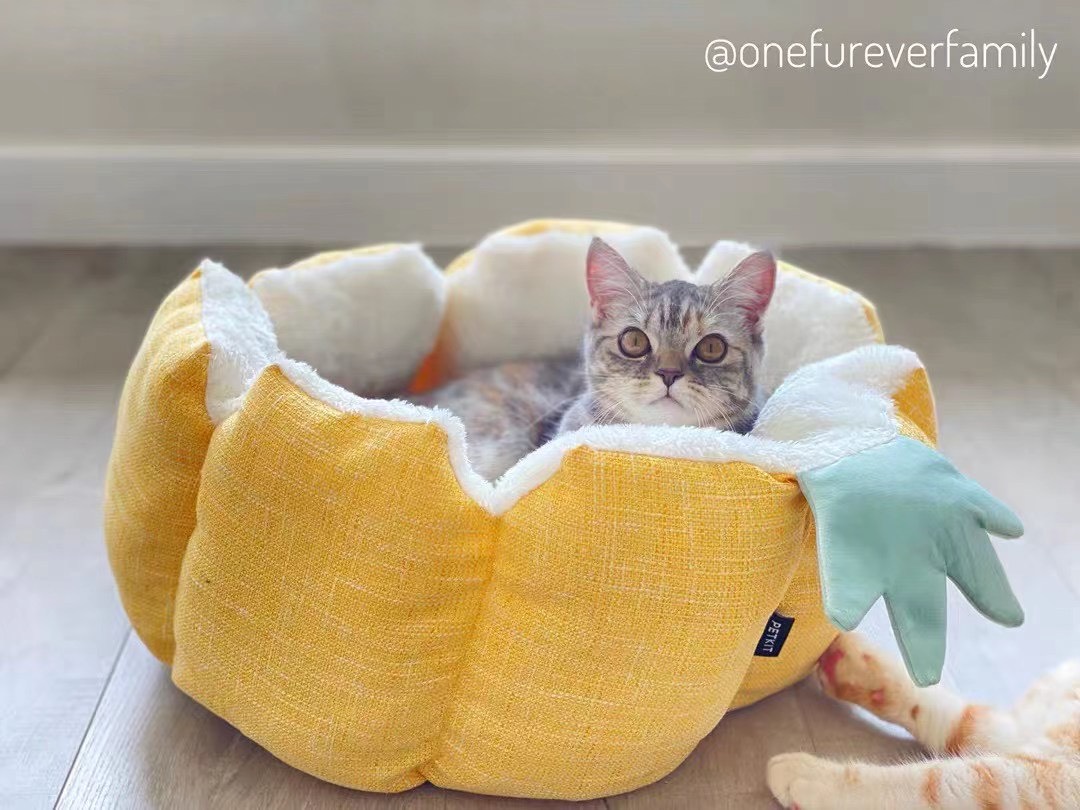 Nệm Ngủ Bốn Mùa PETKIT Hình Trái Thơm Cho Thú Cưn