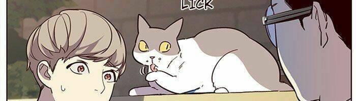 biến thân thành mèo chapter 11 62