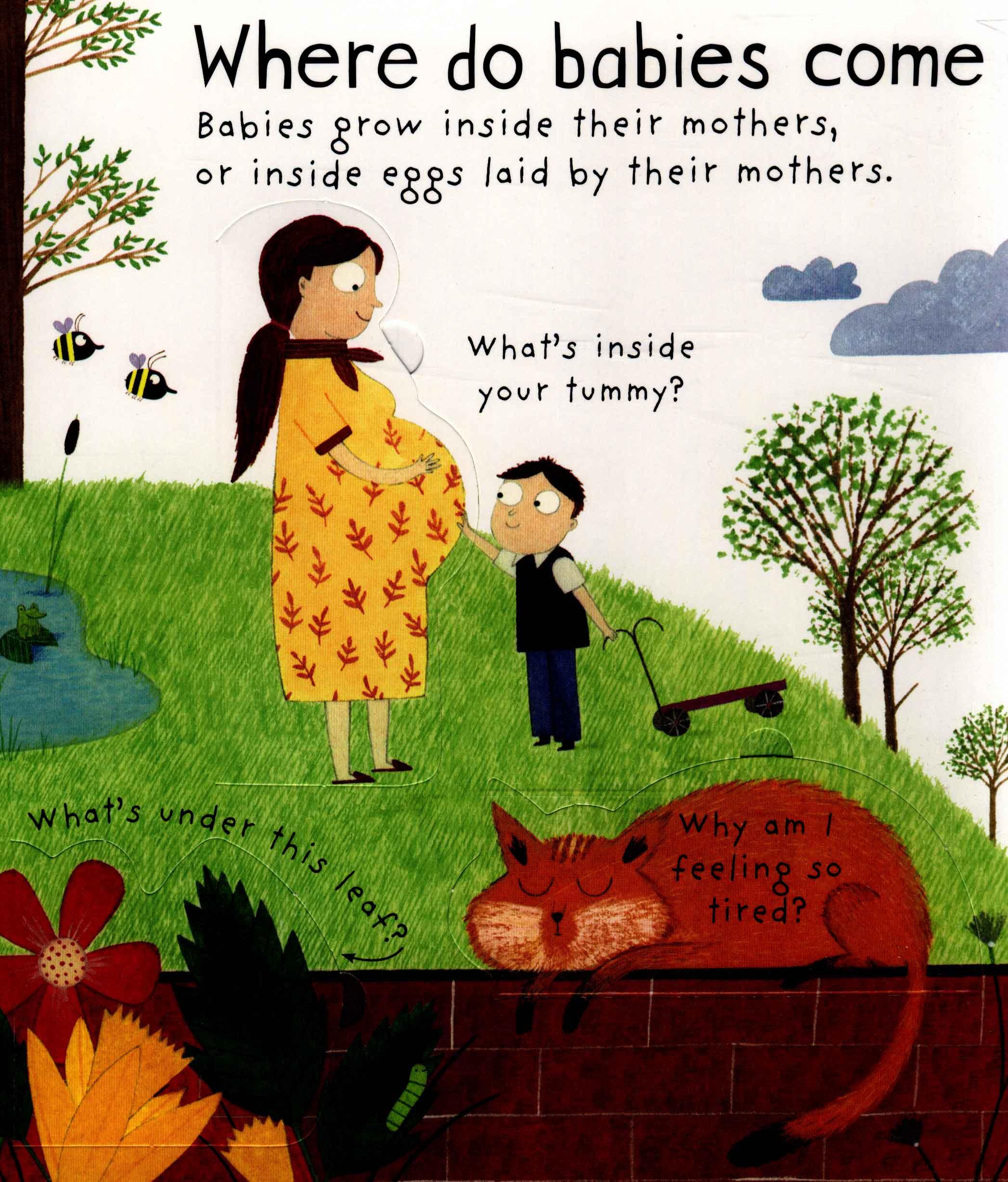Usborne Where do babies come from?