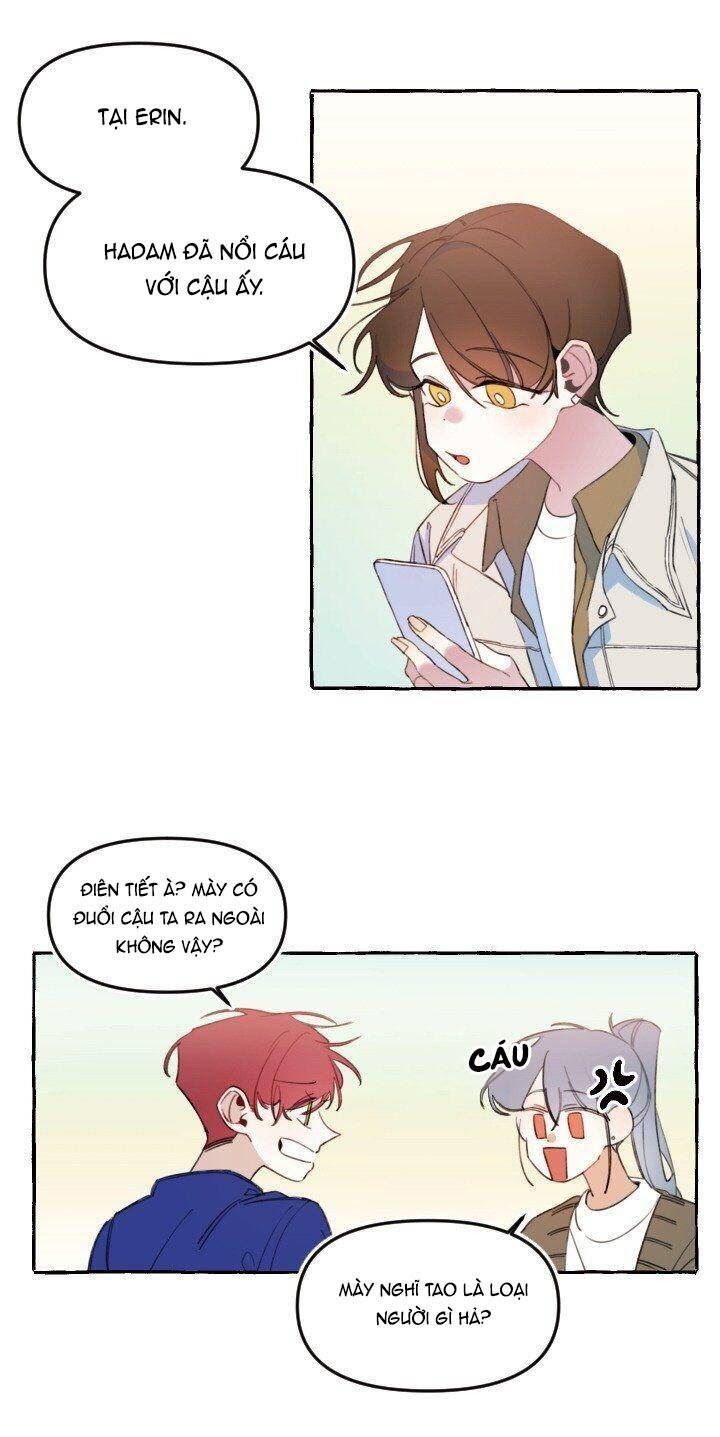 lời yêu thì cần app để dịch không? chapter 7 8