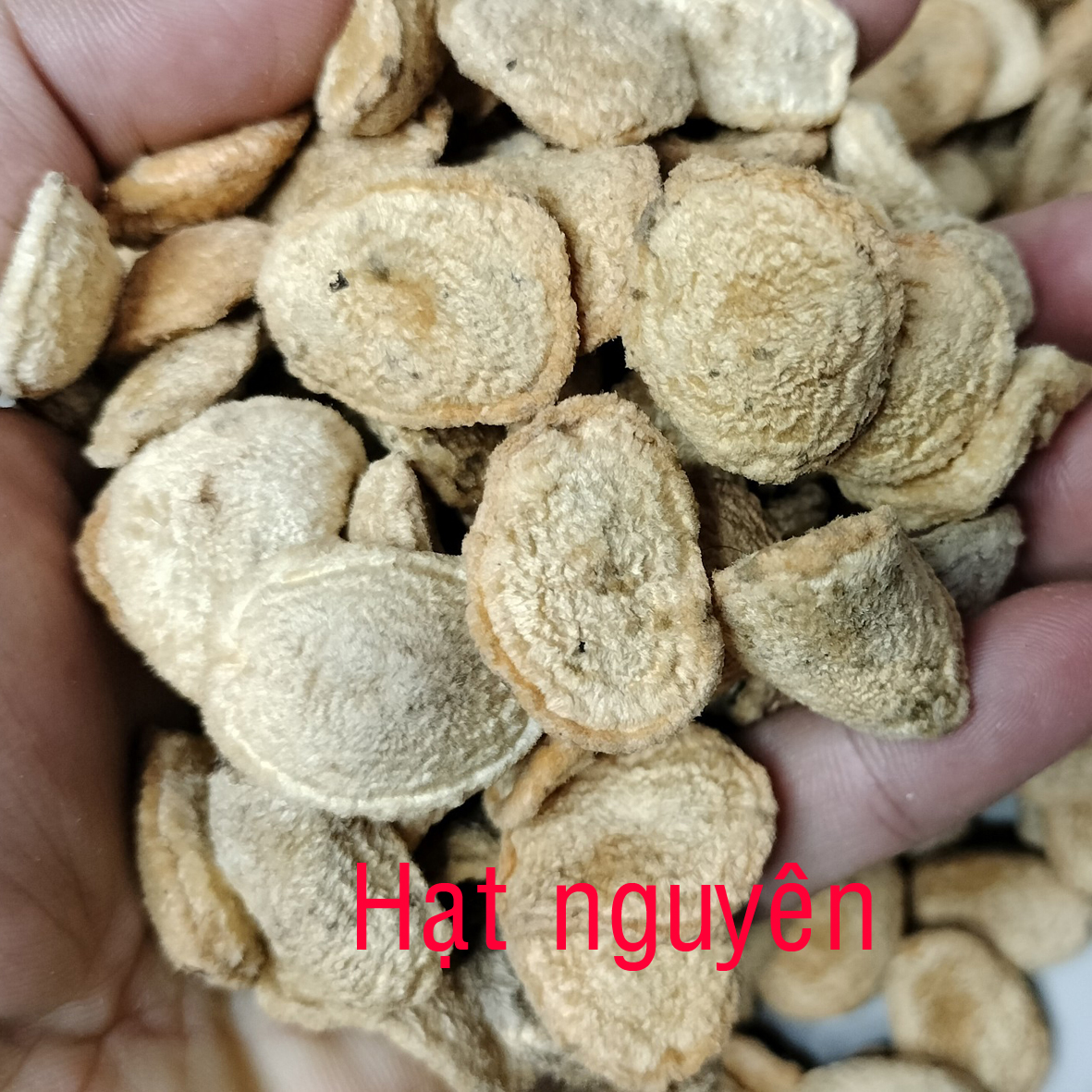 Hạt sang Hạt sành trắng, hạt giải quyết vấn đề dạ dày của người dân tộc H mong 2 gói