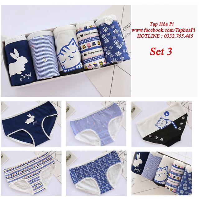SET QUẦN LÓT COTTON NỮ SIÊU THOÁNG MÁT