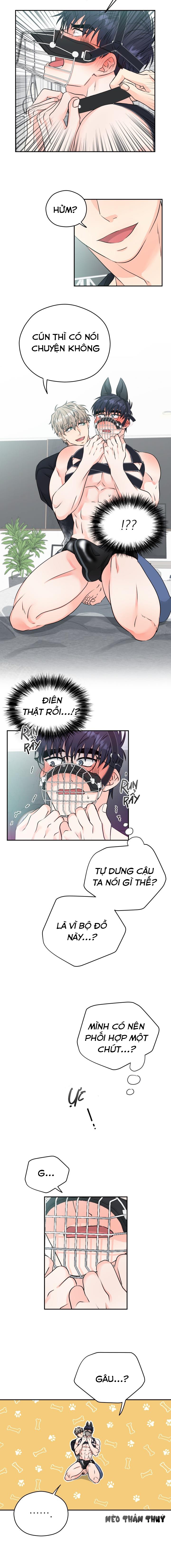 giao kiện hàng thành công chapter 6 5