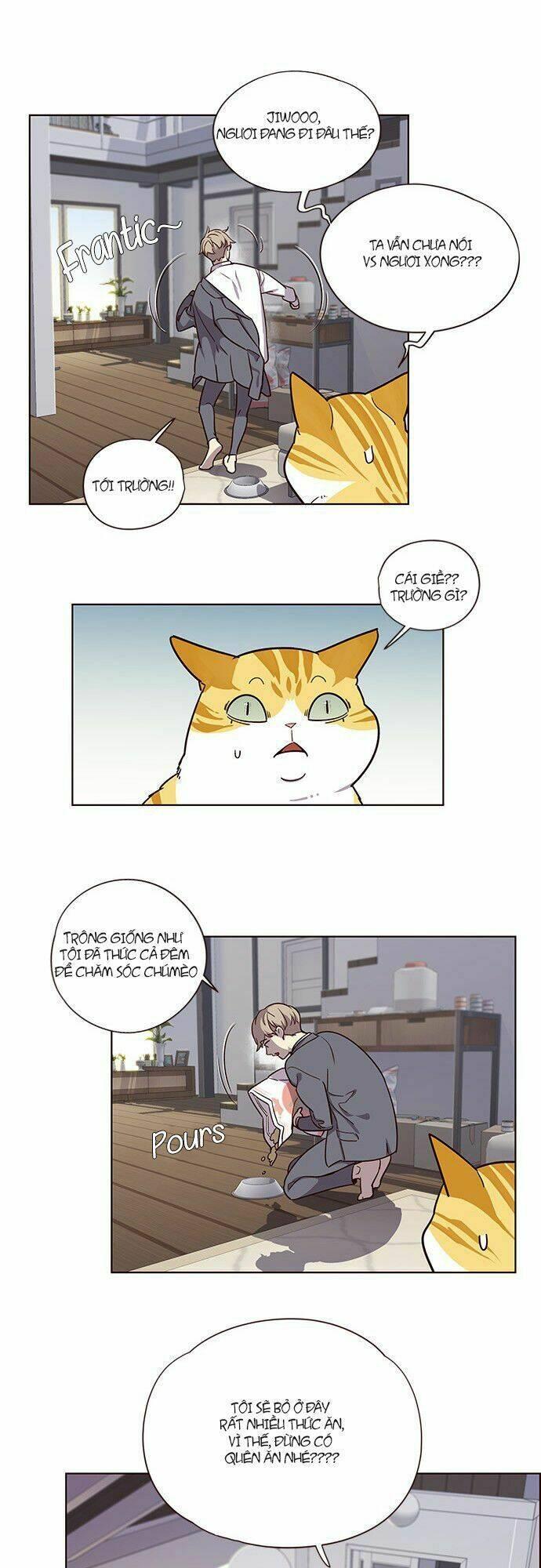 biến thân thành mèo chapter 6 22