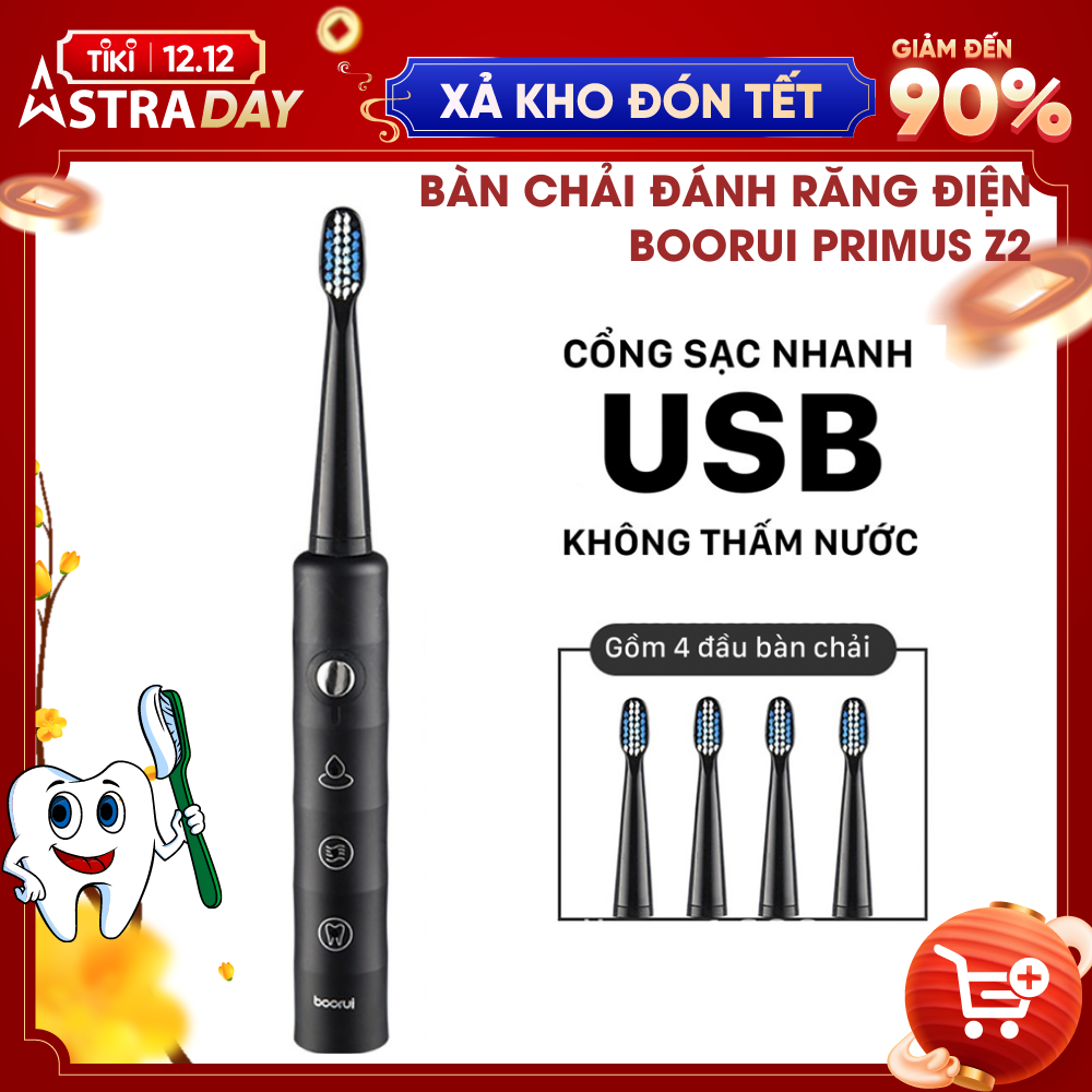 Bàn Chải Điện BOORUI Primus Z2 (TB-018) 3 Chế Độ , Bàn Chải Đánh Răng  Tặng Kèm 3 Đầu Bản Chải - Hàng Chính Hãng , Chống Nước IPX7 , Sạc nhanh USB