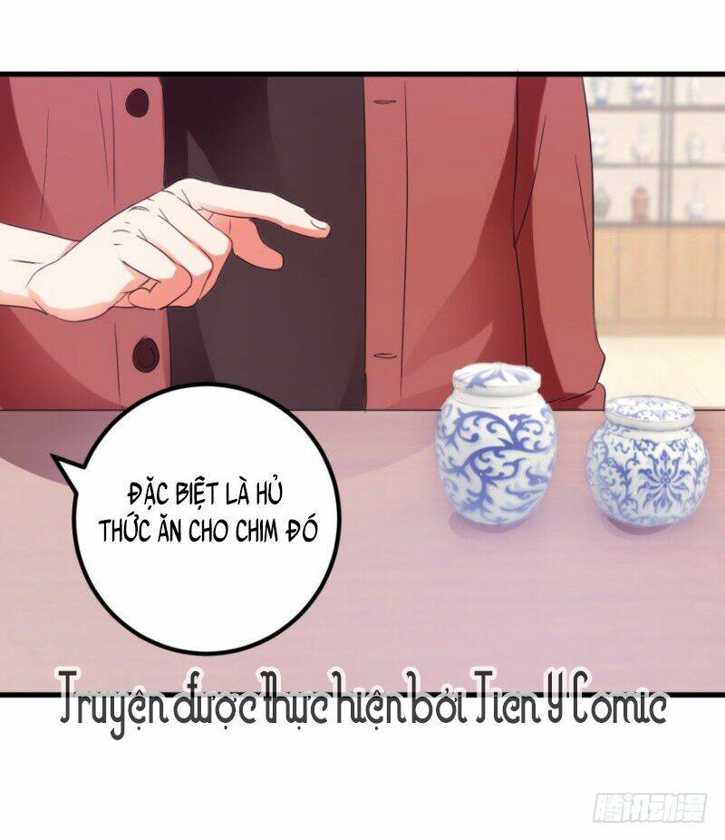 thấu thị tiên y chapter 50 14
