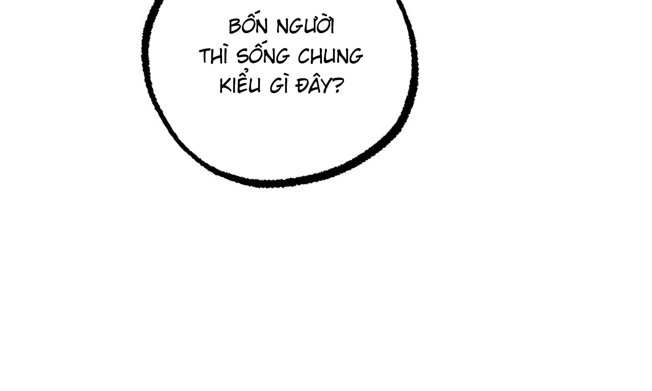 những chú thỏ của hapypy chapter 51 199