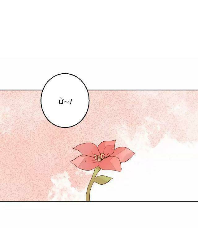 đốt đào hoa chapter 65 16