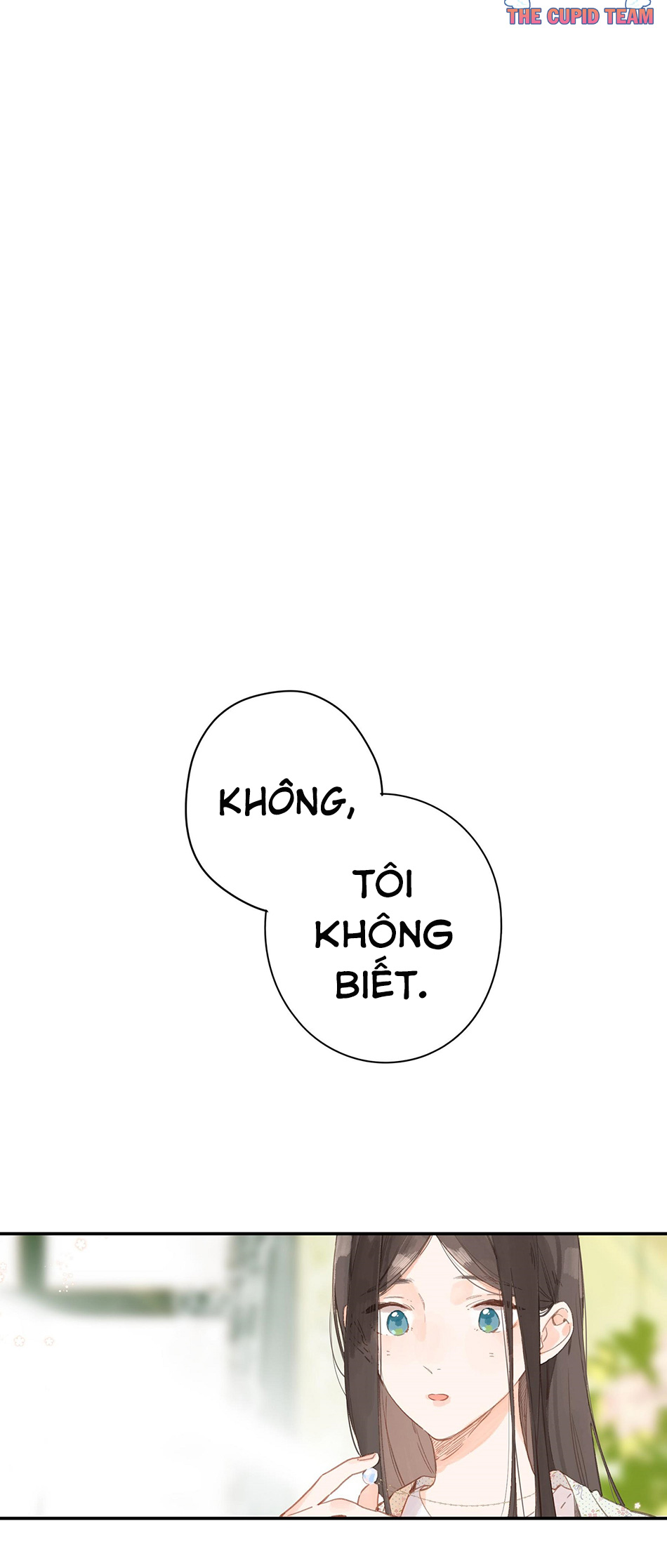 tiệm hoa hướng dương ở góc phố chapter 8 28